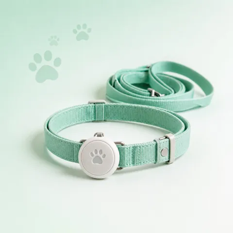 Tracker on a collar
